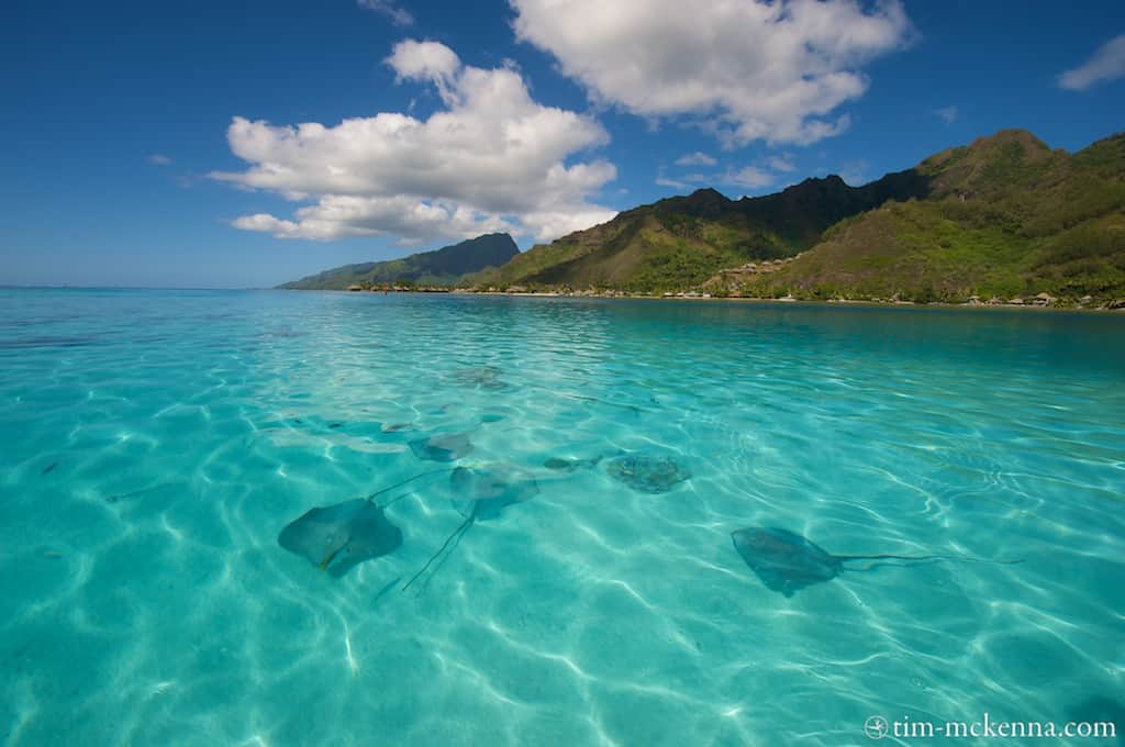 Moorea Surf Inn, Surfing Moorea | Waterways Surf Travel